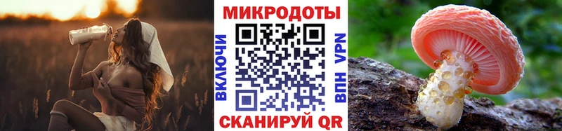 что такое наркотик  Зеленодольск  Галлюциногенные грибы GOLDEN TEACHER 