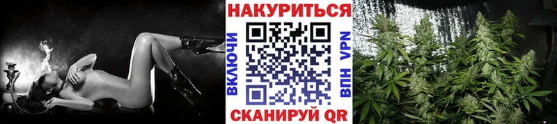 Бошки Шишки индика как найти Зеленодольск